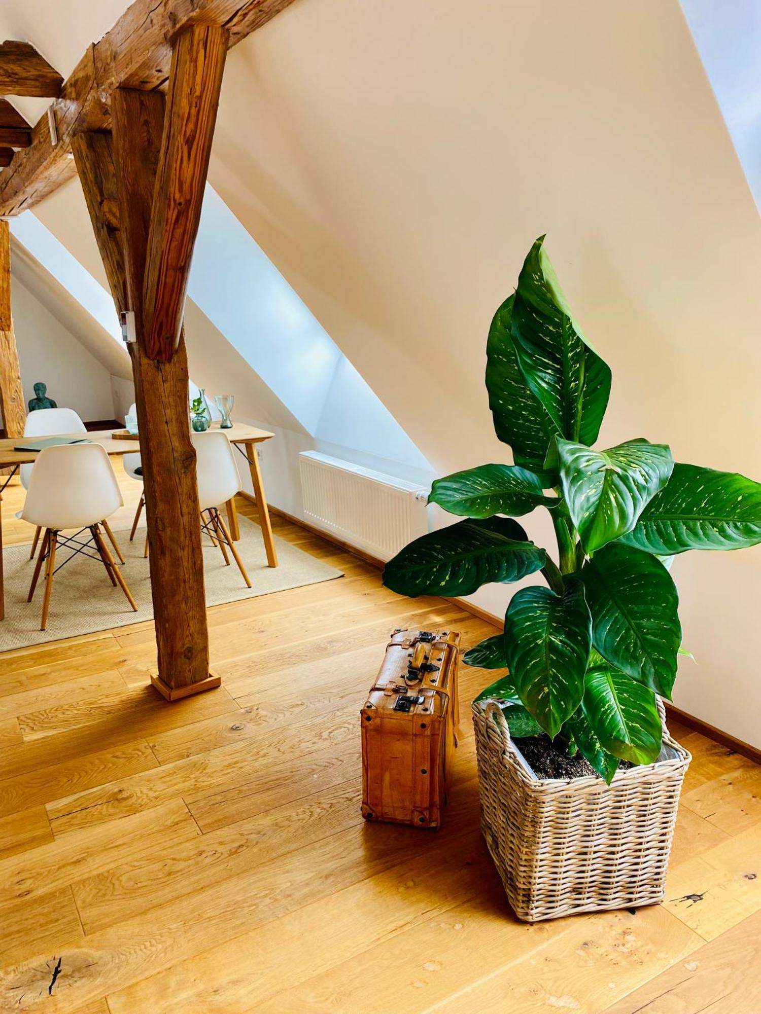 Apartment Am Schlosshof Besigheim Kültér fotó